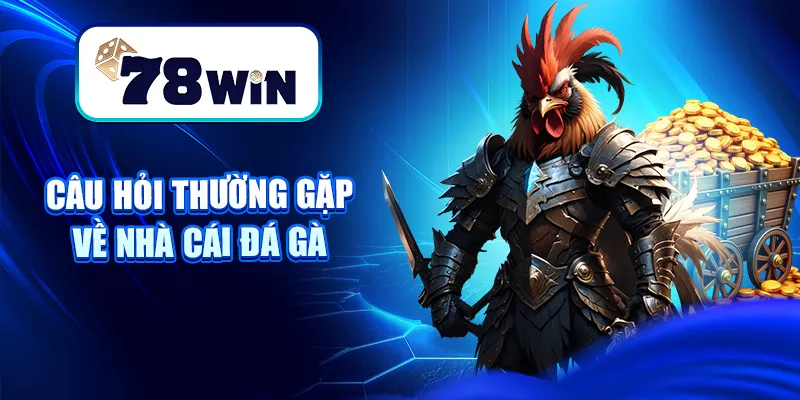 Nhà Cái Đá Gà – Hướng Dẫn Cách Chọn Địa Chỉ Cược Uy Tín 9 Câu hỏi thường gặp về nhà cái đá gà