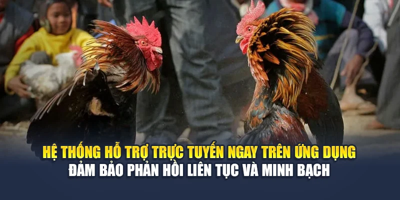 Trải Nghiệm Chơi Đá Gà Trên App Đỉnh Cao Cùng Nhà Cái 78WIN 7 Hệ thống hỗ trợ trực tuyến ngay trên ứng dụng đảm bảo phản hồi liên tục và minh bạch